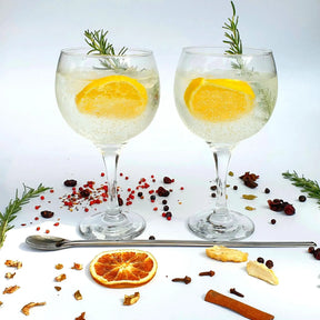 Kit Gin Tonic Tanqueray 12 Especiarias + Dosador + Taça+ Colher - Up Drinks