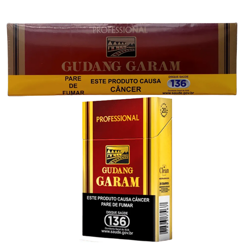 Cigarro Gudang Garam Cravo Nacional - Pacote 10 Maços